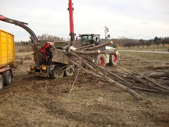 Sportplatz Aubach Hechseln u. Schredern. 021